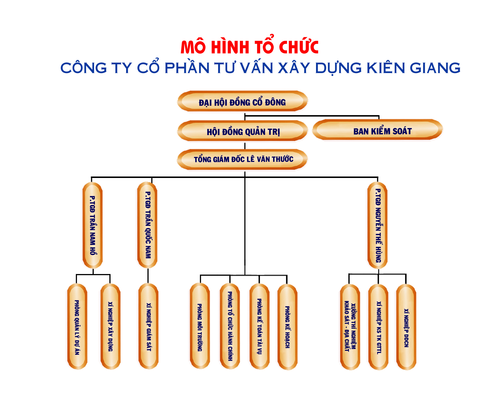 IV. Sơ đồ tổ chức