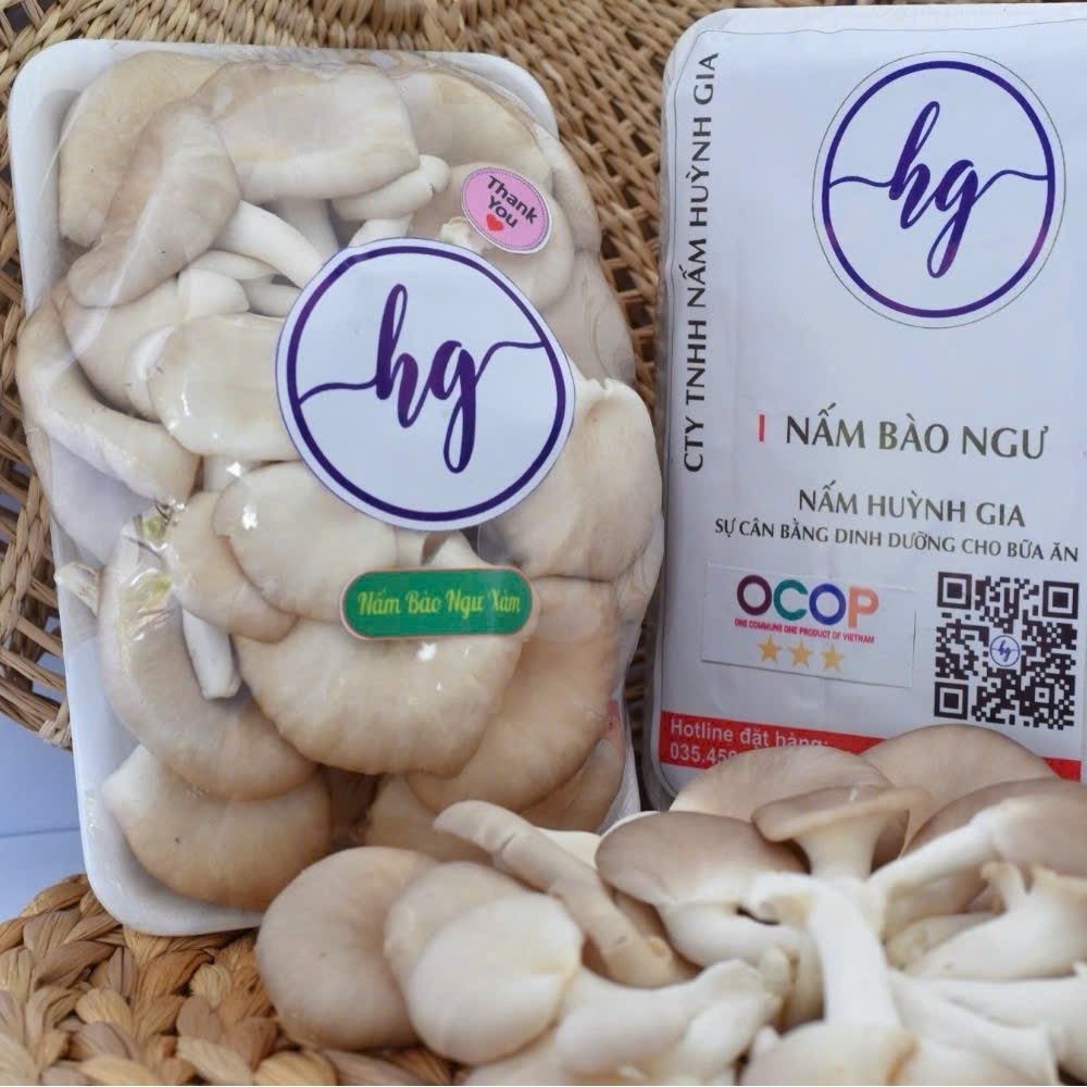 Nấm Bào Ngư Xám Huỳnh Gia – Vỉ 250gr