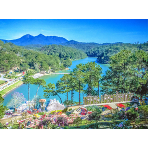 Lịch sử hình thành & phát triển