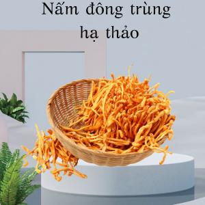 Những lưu ý khi sử dụng đông trùng hạ thảo đối với phụ nữ