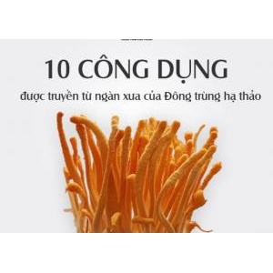 10 tác dụng của đông trùng hạ thảo dựa trên khoa học