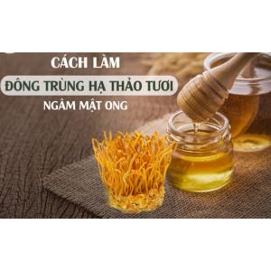 Đông trùng hạ thảo ngâm mật ong