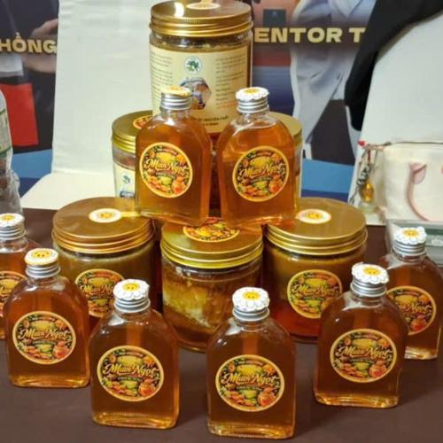 Mật Ong Rừng Mười Ngọt