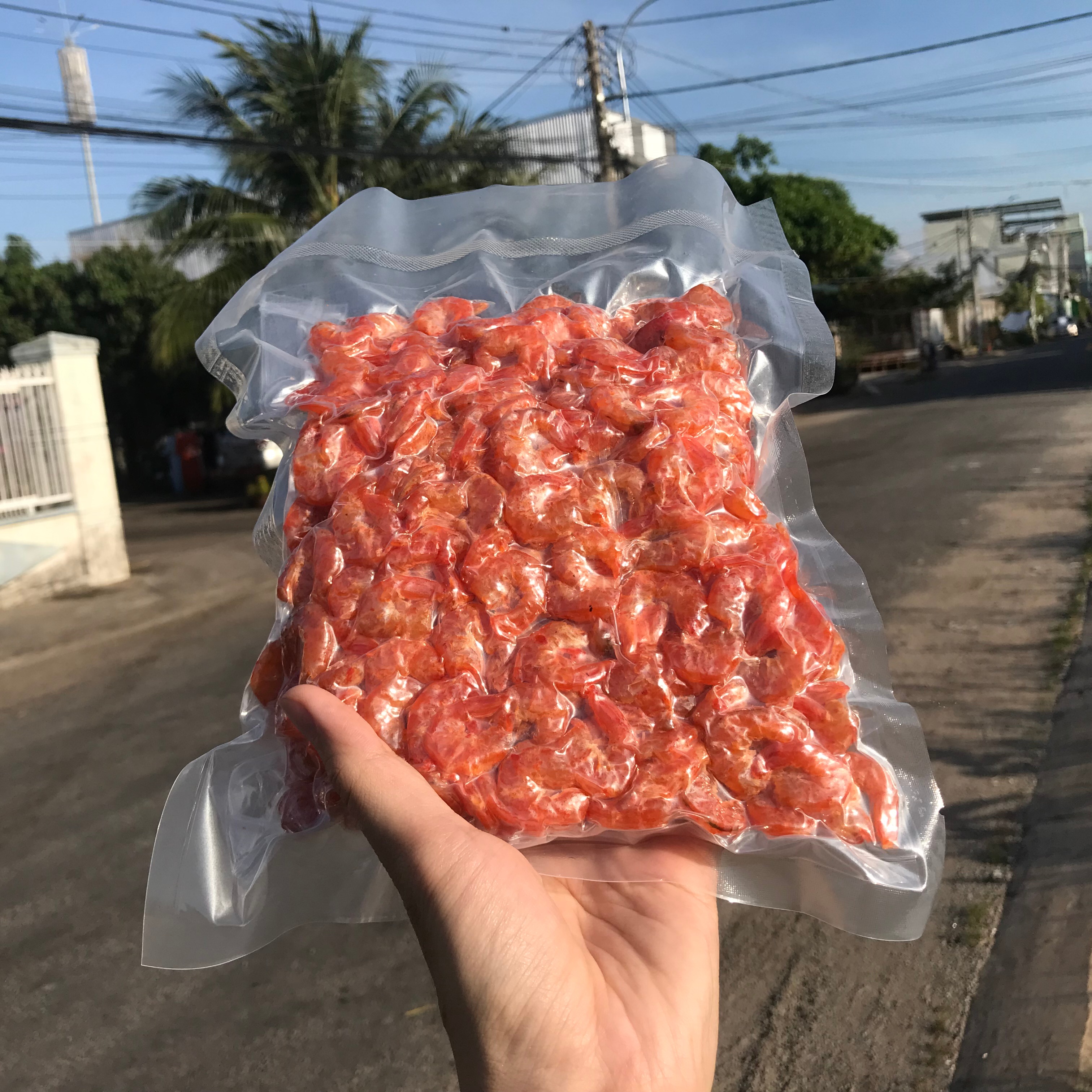 Đạm