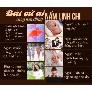 Linh chi hỗ trợ điều trị các bệnh khác