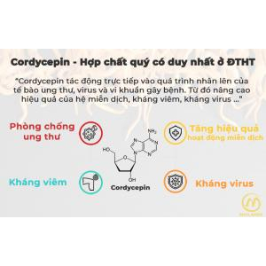 Kháng viêm, phòng bệnh do virus gây ra