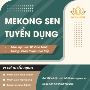 $Mekong Sen Tuyển Dụng Nhân Sự