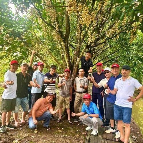 Hành Trình Trải Nghiệm Khó Quên Tại Vườn Sinh Thái Tuấn Tường