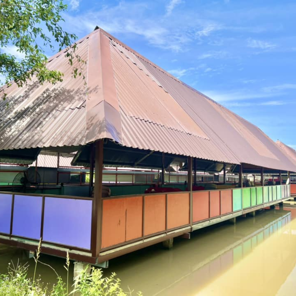 Nếu Không Thích Vận Động, Đi Phú Điền Có Gì Làm?