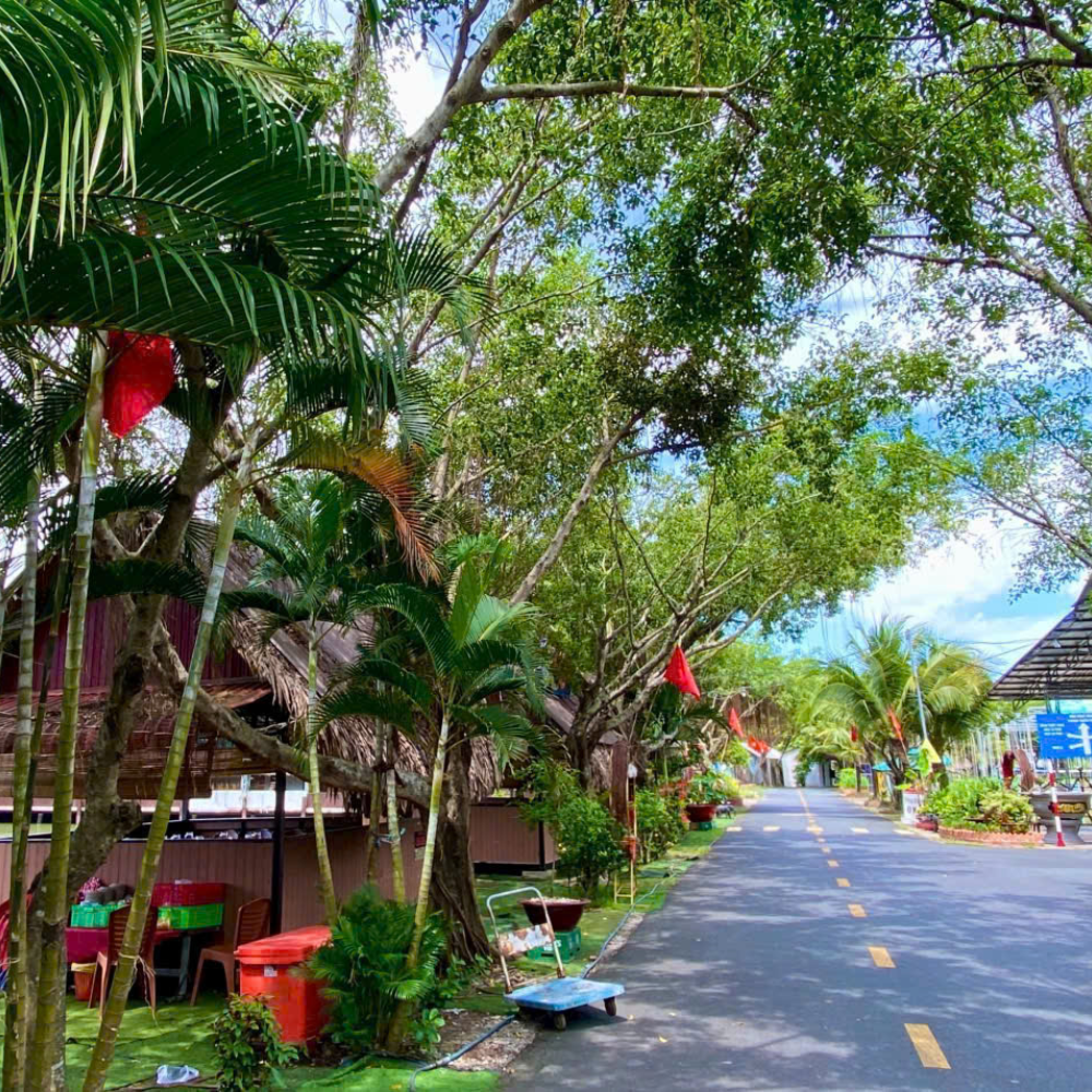 1 Ngày Sống Chậm Ở Miền Tây – Trải Nghiệm Đáng Thử