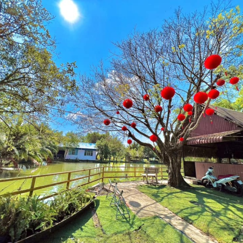 Xu Hướng Du Lịch Xanh – Khi Hành Trình Không Chỉ Là Khám Phá Mà Còn Là Trách Nhiệm Với Thiên Nhiên