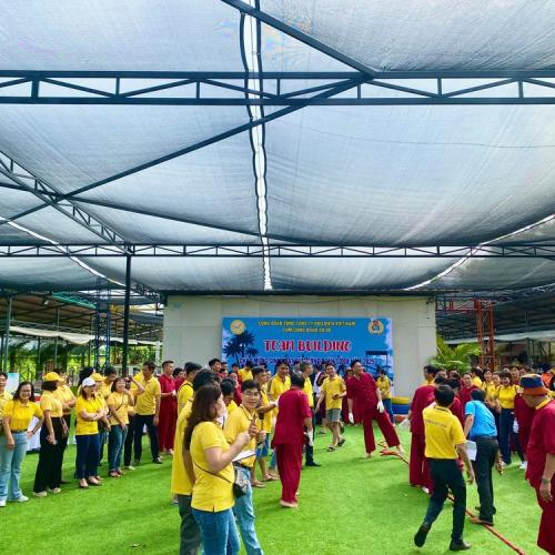 Tổ Chức Teambuilding Ở Đâu Để Vừa Vui Vừa Gắn Kết?