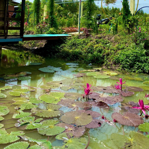 Đi Du Lịch Không Ồn Ào Xu Hướng “Sống Chậm” Lên Ngôi