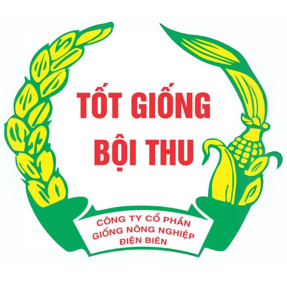 Công Ty CP Giống Nông Nghiệp Điện Biên