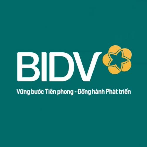 BIDV: Vững Bước Tiên Phong - Đồng Hành Phát Triển!