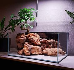 Kênh Test Chiết Khấu