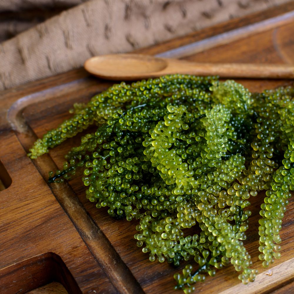 Vì Sao Rong Nho Giúp Đẹp Da?