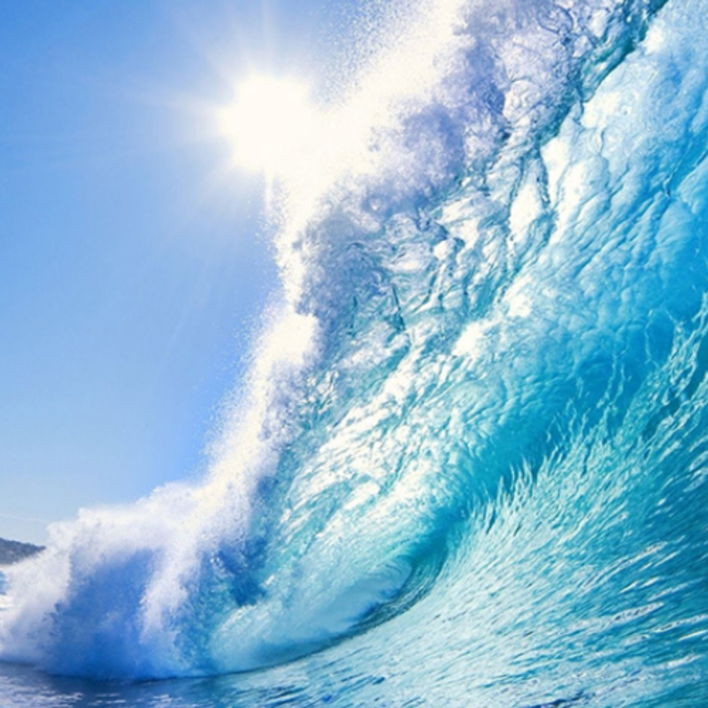 Nước Biển Có Gì ?