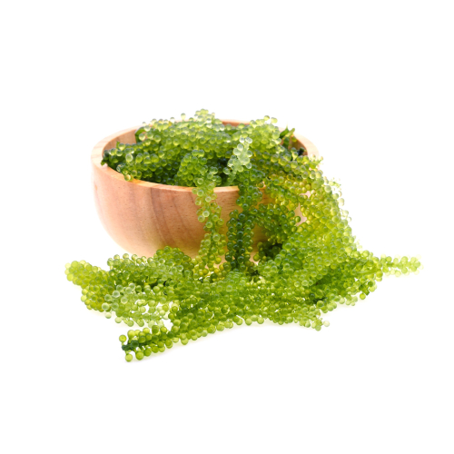 Bật Mí Món Ngon Từ Rong Nho - Đơn Giản Dễ Làm