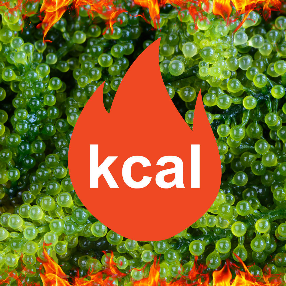 Bí Quyết Giảm Cân Với Rong Nho – Giữ Dáng Lành Mạnh Từ Tự Nhiên