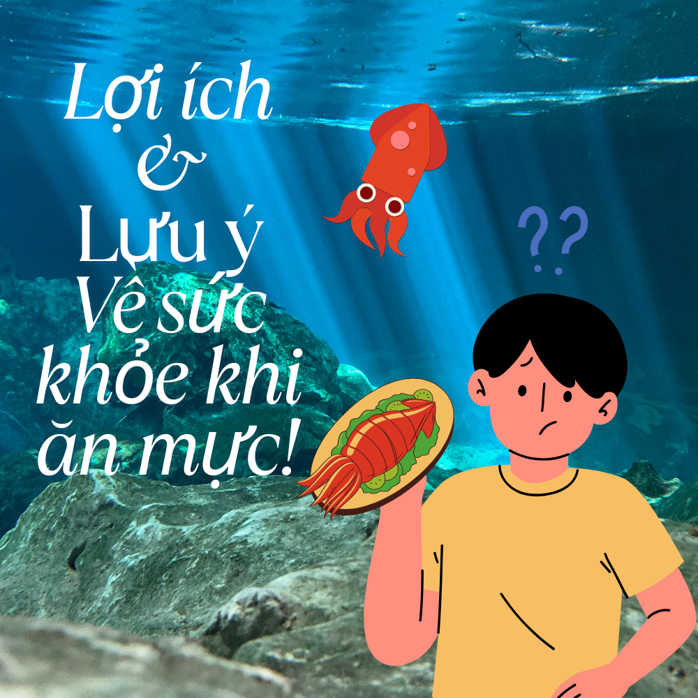 Lợi Ích Và Lưu Ý Khi Ăn Mực