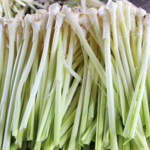 Dưa Bồn Bồn – Lộc Trời Của Người Miền Tây