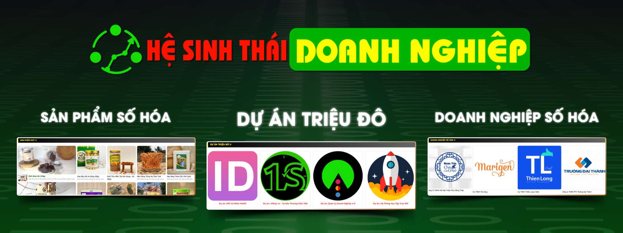 Hệ Sinh Thái Doanh Nghiệp