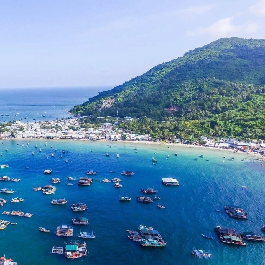 Cẩm Nang Tham Gia Lễ Hội Nghinh Ông Lại Sơn Cho Du Khách