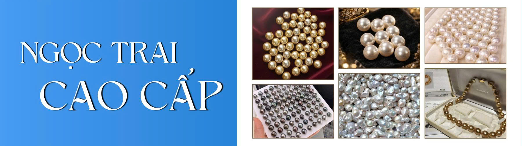 Các dòng ngọc trai cao cấp