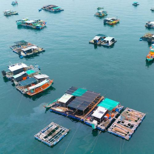 Câu Truyện Về Con Người Và Văn Hóa Ngư Dân