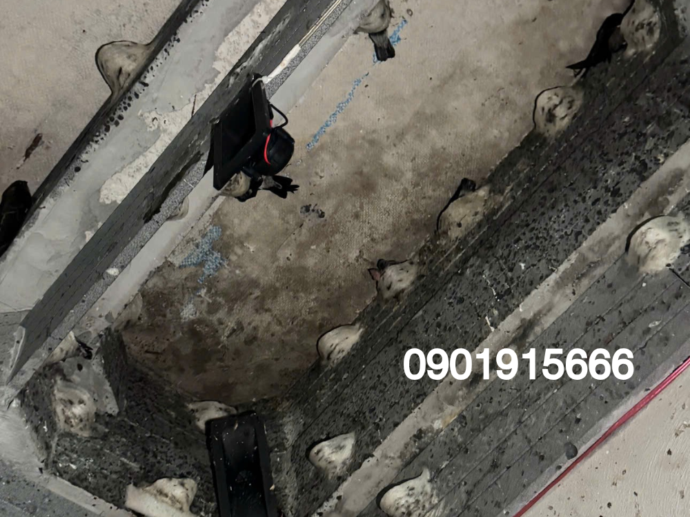 Những trường hợp nên sử dụng