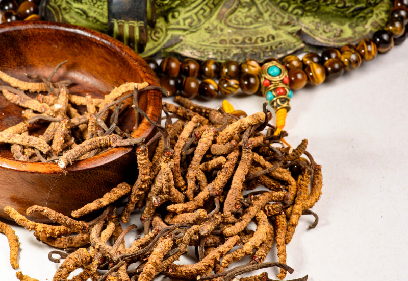 Đông Trùng Hạ Thảo Và Hệ Miễn Dịch: Giải Pháp Tự Nhiên Cho Sức Khỏe Bền Vững