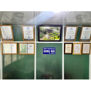 Xoài Sấy Dẻo - SUNHI