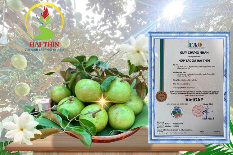 Thông tin chi tiết