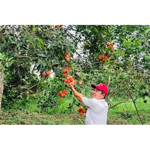 Thông tin chi tiết