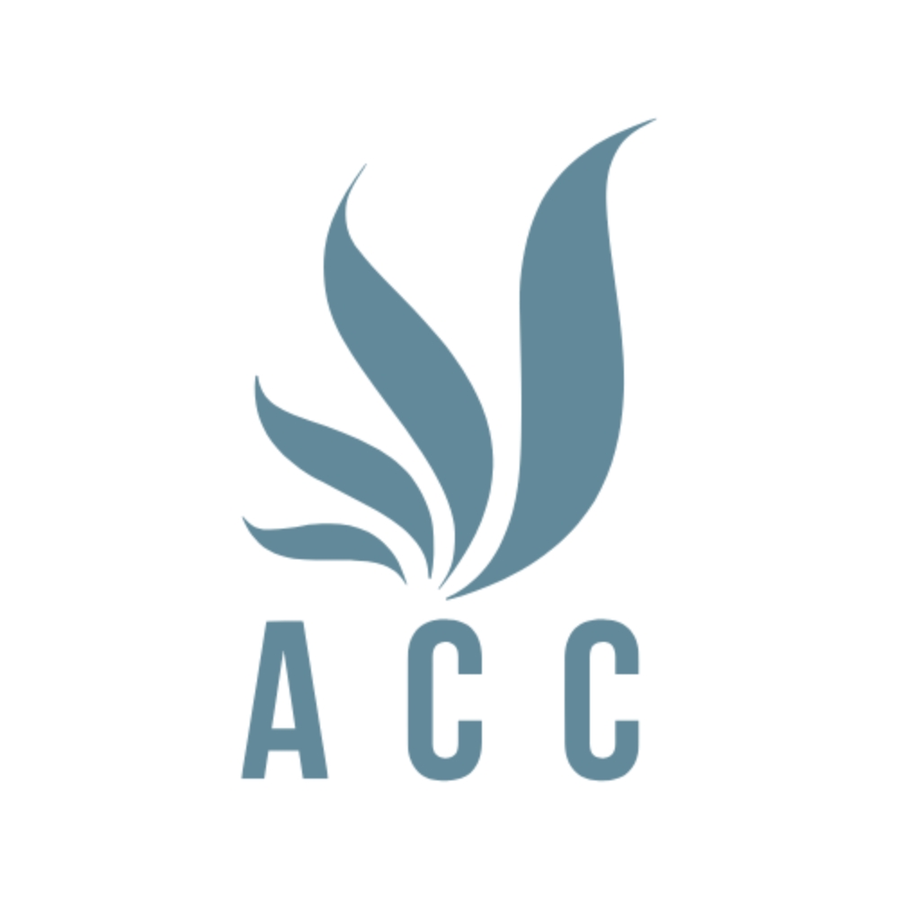 Công Ty TNHH ACC Group Vietnam