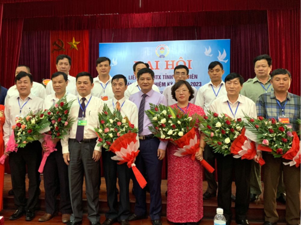 Lịch sử phát triển