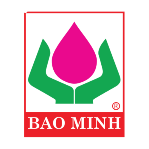 Công Ty Bảo Minh Bình Định