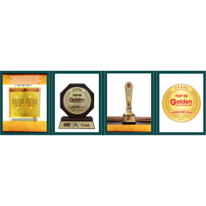 Tập Đoàn Tảo Xoắn Đại Việt