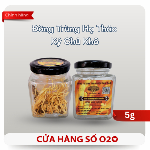 Đông Trùng Hạ Thảo Ký Chủ Khô