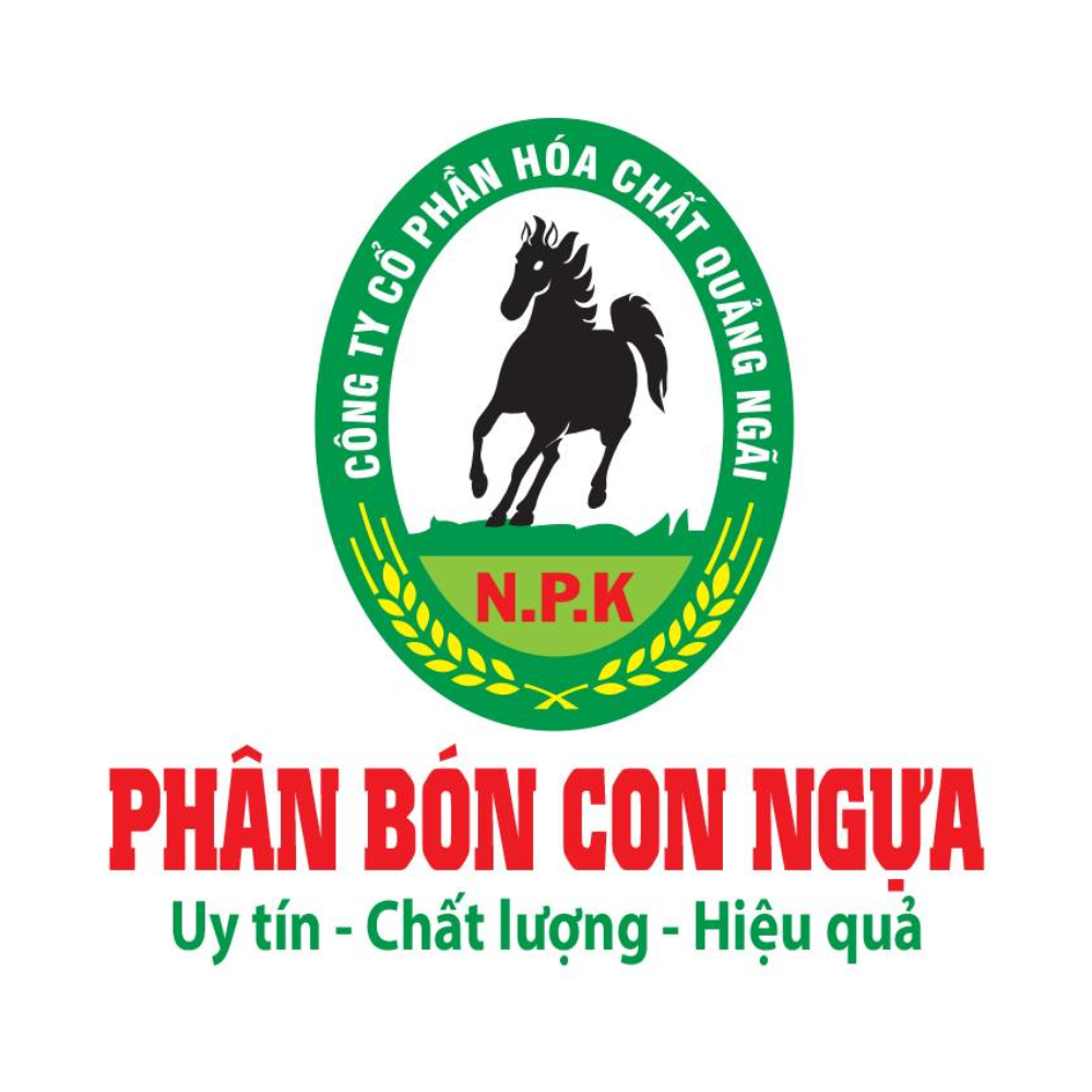 Công Ty CP Hóa Chất Quảng Ngãi