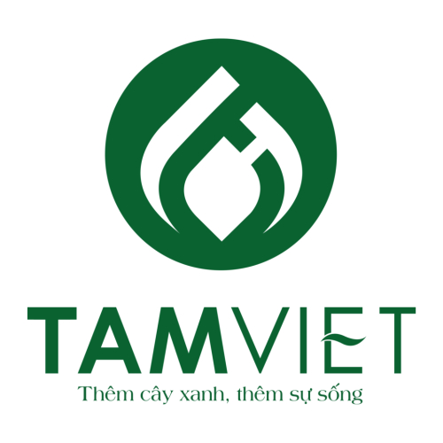 Công Ty TNHH MTV Cây Xanh Và Cảnh Quan Tâm Việt