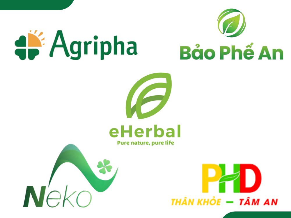 V. Gold Herbal – Đối tác OEM dược liệu chuẩn GMP