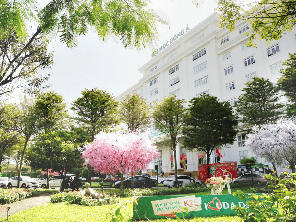 Lịch sử phát triển