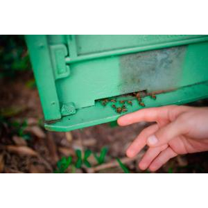 (TOUR GHÉP) Chèo Thuyền Thúng Sông Cửa Cạn + Tham Quan Trang Trại Mật Ong