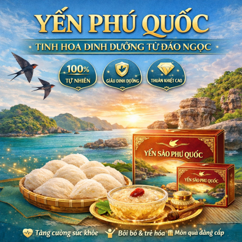 Yến Phú Quốc Có Gì Mà Ai Cũng Mê?