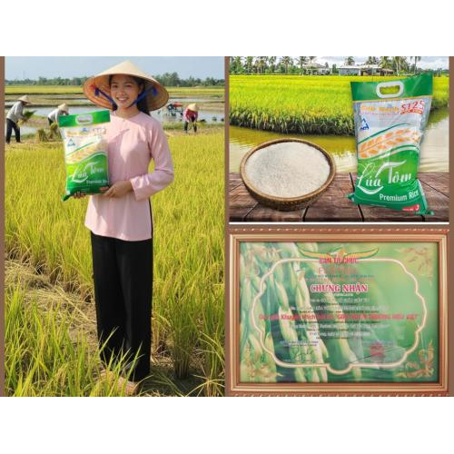 Gạo Điền Tín ST25 Lúa Tôm 5 Kg - Gạo Sạch Ngọt Dẻo Mềm Cơm Thơm Dịu