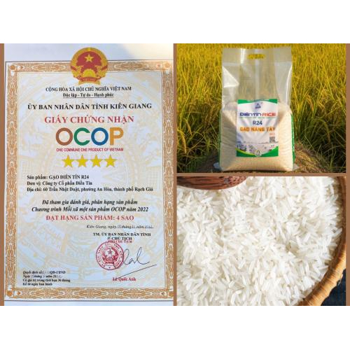 Gạo Nàng Tây R24 Điền Tín 5 Kg – Hữu Cơ, Thơm Ngọt Dẻo Mềm