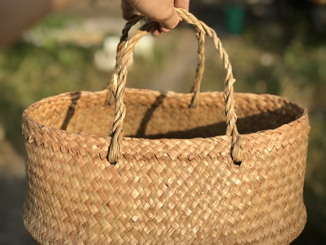 Tụng Cỏ Bàng – Đa năng trong mọi góc sống