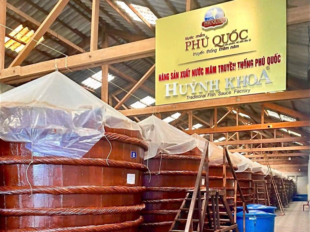 Vì sao nước mắm ngon phải làm từ cá cơm?